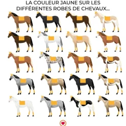 Animo Italia - Tapis de dressage Wastel jaune