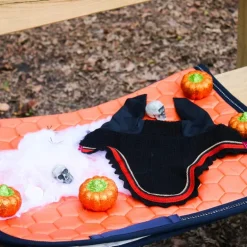 Animo Italia - Tapis de selle Walzer orange