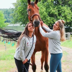 Antarès Sellier - Licol doublé cuir marron