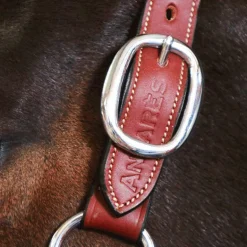 Antarès Sellier - Licol doublé cuir marron