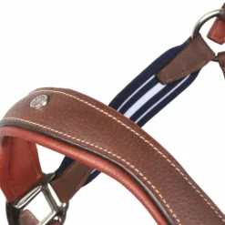 Antarès Sellier - Licol en cuir Stressless grainé havane / marine