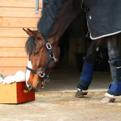 Back On Track - Guêtres d'écurie royales marine x2