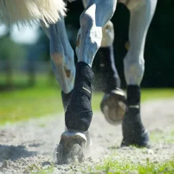 Back On Track - Guêtres de travail postérieurs x2