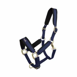 Back On Track - Licol Werano bleu