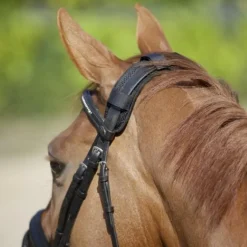 Back On Track - Protège-nuque