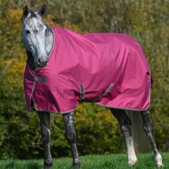 Bucas - Couverture d'extérieur Freedom Turnout 300 rasberry 300g