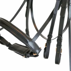 Canter - Bride Euro avec rênes (2 paires) noir