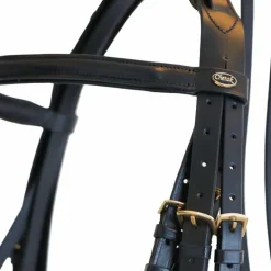 Canter - Bride Euro avec rênes (2 paires) noir