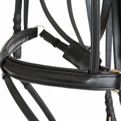 Canter - Bridon Euro pull back avec rênes noir