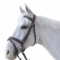 Canter - Bridon Ornella avec rênes marron