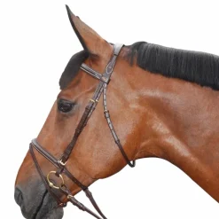 Canter - Bridon Surpiqué combiné avec rênes marron
