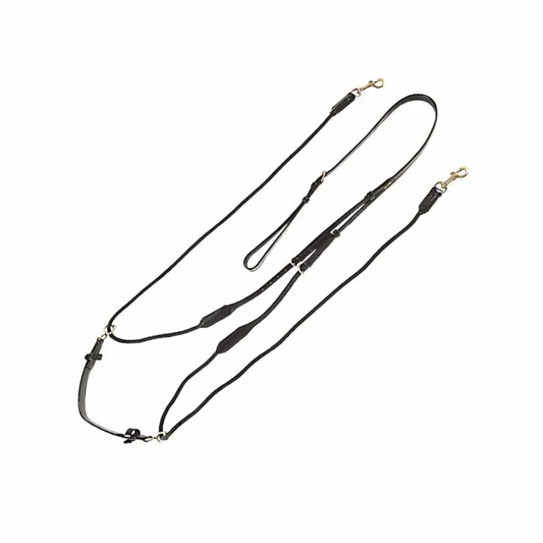 Canter - Chambon Marron