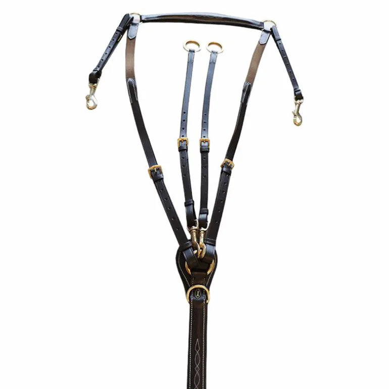 Canter - Collier de chasse surpiqué marron