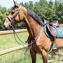 Canter - Collier de chasse surpiqué marron