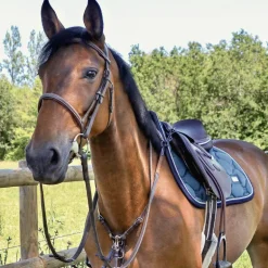 Canter - Collier de chasse surpiqué marron
