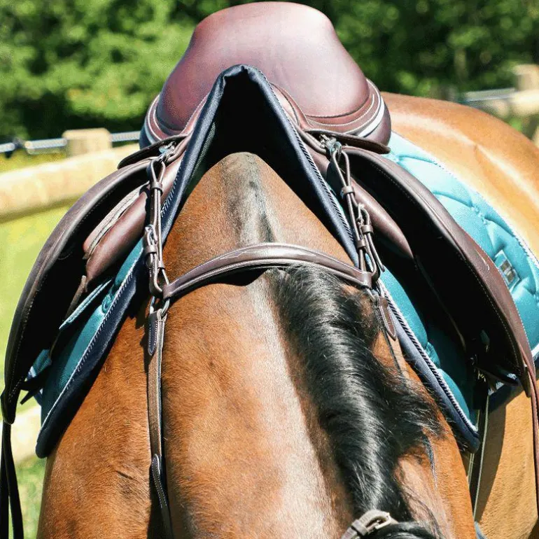 Canter - Collier de chasse surpiqué marron