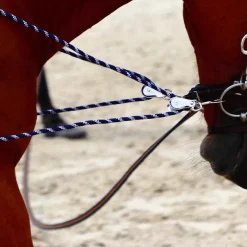 Canter - Enrênement à poulies pour longe corde marine