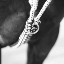 Canter - Enrênement Soft Ride