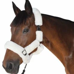 Canter - Licol de transport naturel