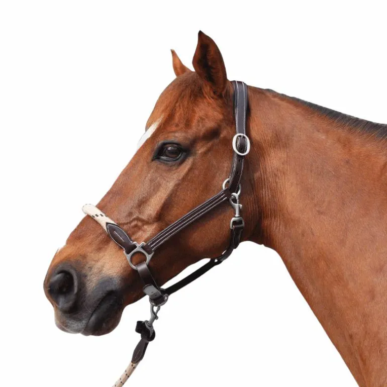 Canter - Licol en corde bouclerie argent marron/ beige