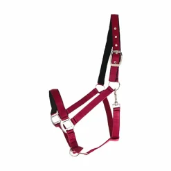 Canter - Licol nylon doublé bordeaux