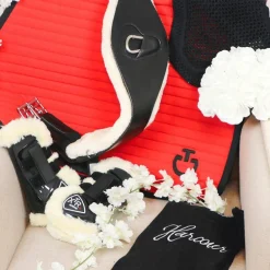 Canter - Sangle anatomique mouton noir