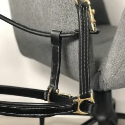 Chetak - Licol cheval Bright cuir doublé noir