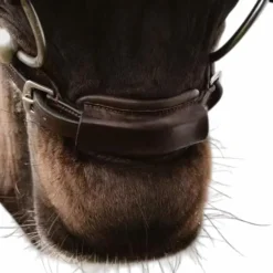 Dyon - Attache de muserolle 1/2 New English Collection marron