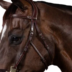 Dyon - Bridon hackamore US Collection havane