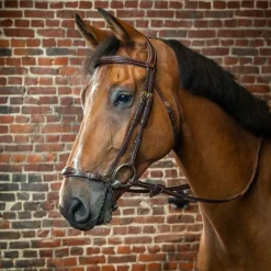 Dyon - Bridon muserolle allemande ajustable D Collection havane