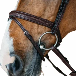 Dyon - Bridon muserolle combinée New English cuir havane