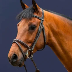 Dyon - Bridon muserolle combinée Working by Dyon havane