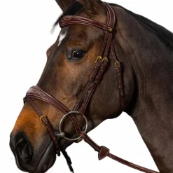 Dyon - Bridon muserolle combinée anatomique D Collection havane