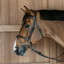 Dyon - Bridon muserolle combinée avec mousquetons Working By Dyon havane
