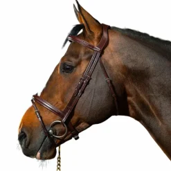 Dyon - Bridon muserolle combinée New English Collection havane