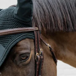 Dyon - Bridon muserolle combinée Tressé havane