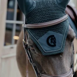 Dyon - Bridon muserolle combinée Tressé havane