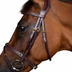 Dyon - Bridon muserolle combinée Dy'on Collection marron
