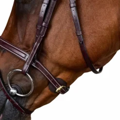 Dyon - Bridon muserolle combinée Dy'on Collection marron