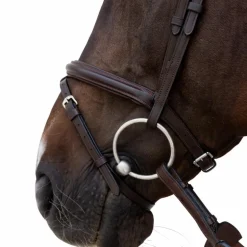 Dyon - Bridon muserolle combinée Flash marron