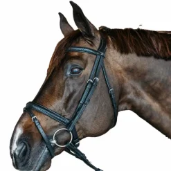 Dyon - Bridon muserolle combinée New English cuir noir