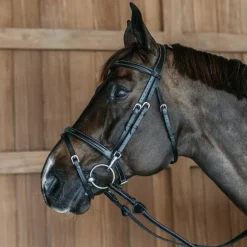 Dyon - Bridon muserolle combinée avec mousquetons Working By Dyon noir
