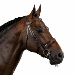 Dyon - Bridon muserolle large Hunter US Collection havane