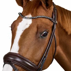 Dyon - Bridon muserolle large Round avec frontal à cristaux marron