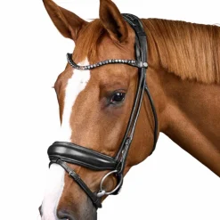 Dyon - Bridon muserolle large Round avec frontal à cristaux noir