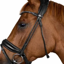 Dyon - Bridon muserolle large Round avec frontal à cristaux noir