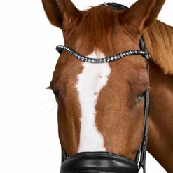 Dyon - Bridon muserolle large Round avec frontal à cristaux noir