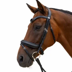 Dyon - Bridon muserolle Medium noir