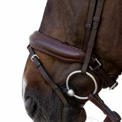 Dyon - Bridon muserolle Medium marron