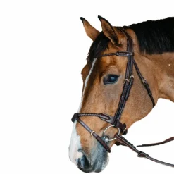 Dyon - Bridon muserolle tressée sous-barbe amovible cuir havane